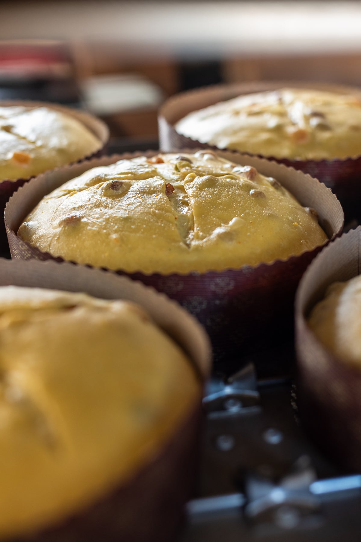 Panettone artigianale premiato - 1 kg