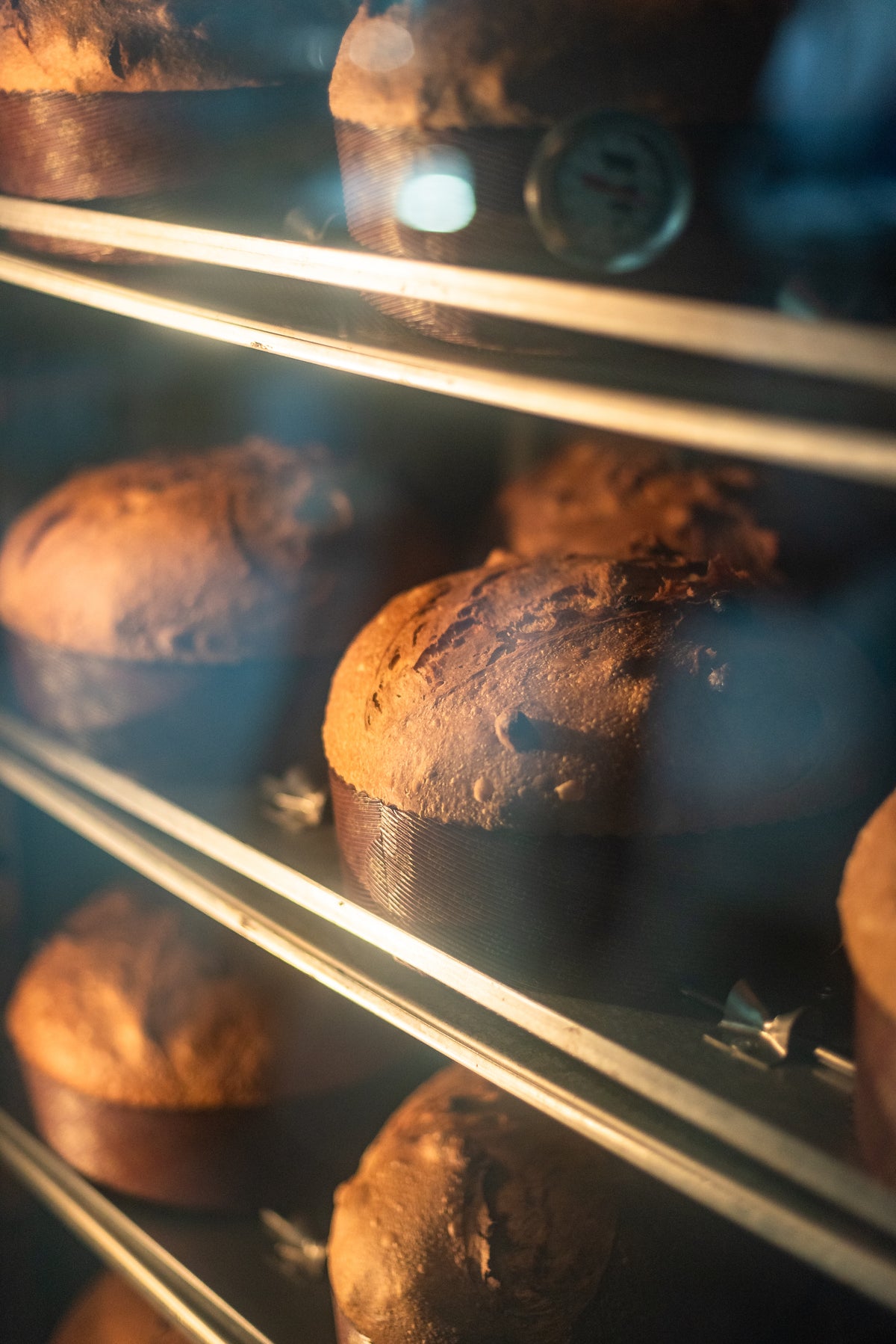 Panettone artigianale premiato - 1 kg