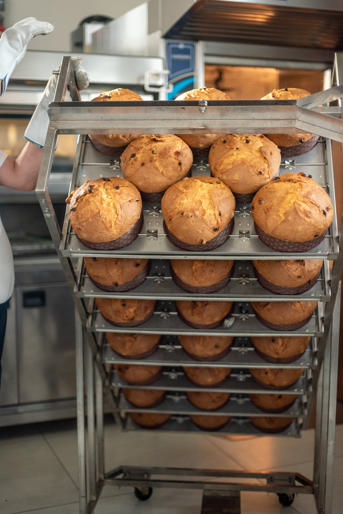Panettone artigianale premiato - 1 kg