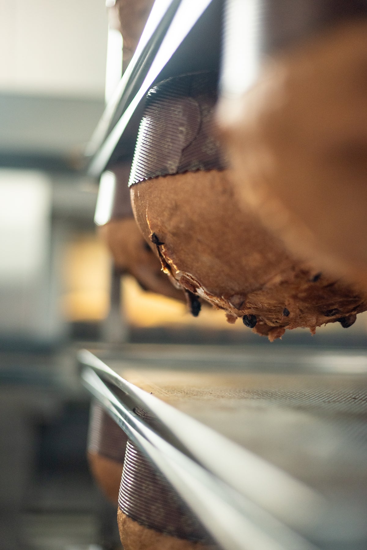 Panettone artigianale premiato - 1 kg