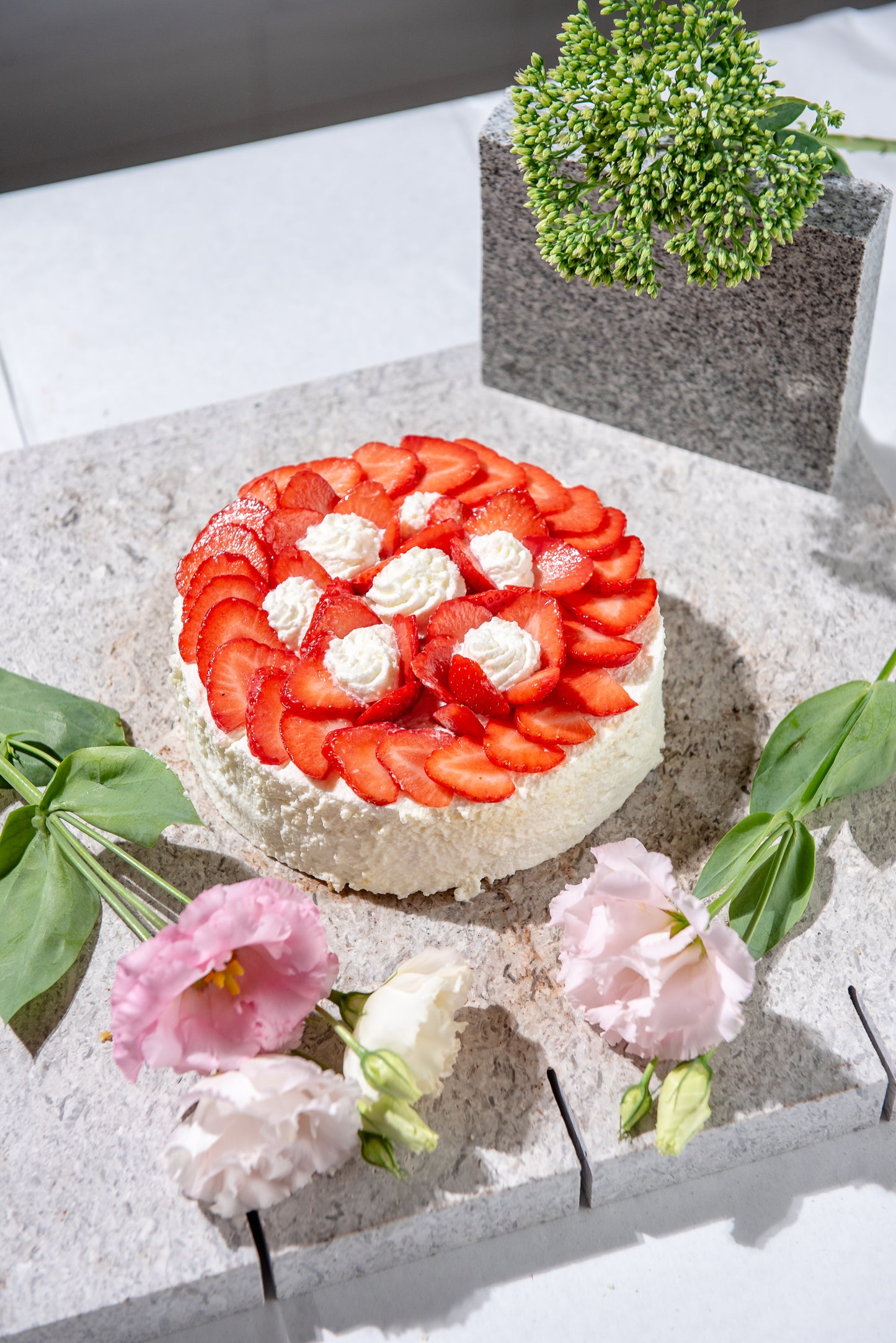 TORTA SU ORDINAZIONE - NOVITÀ