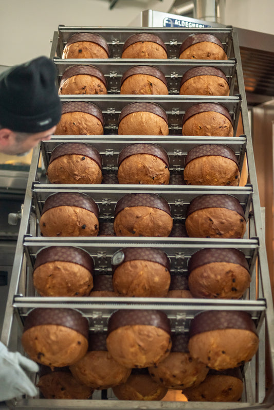 Panettone artigianale premiato - 1 kg